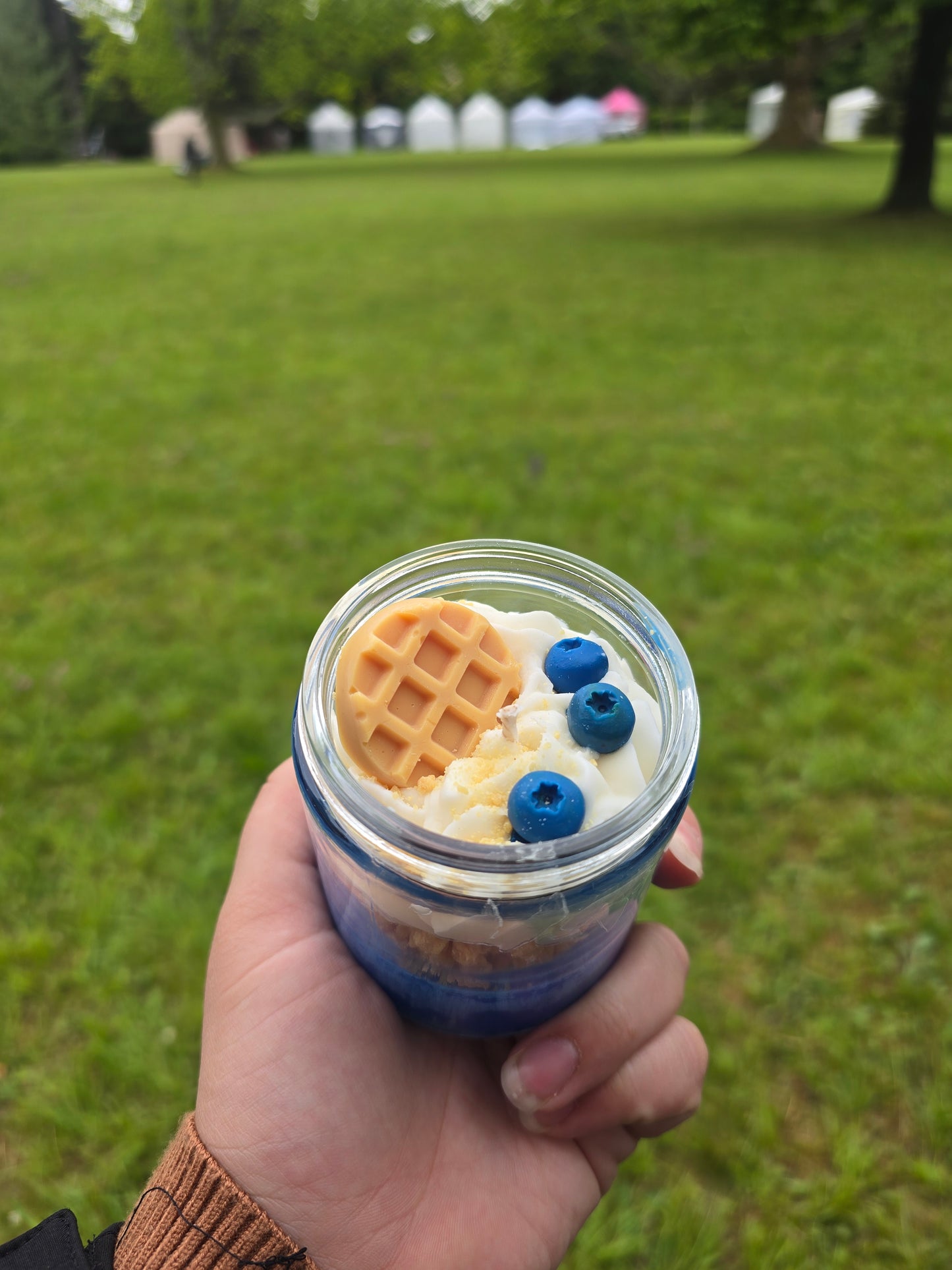 Blueberry Waffles